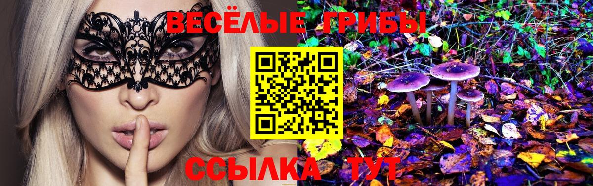 Псилоцибиновые грибы Psilocybine cubensis Джанкой